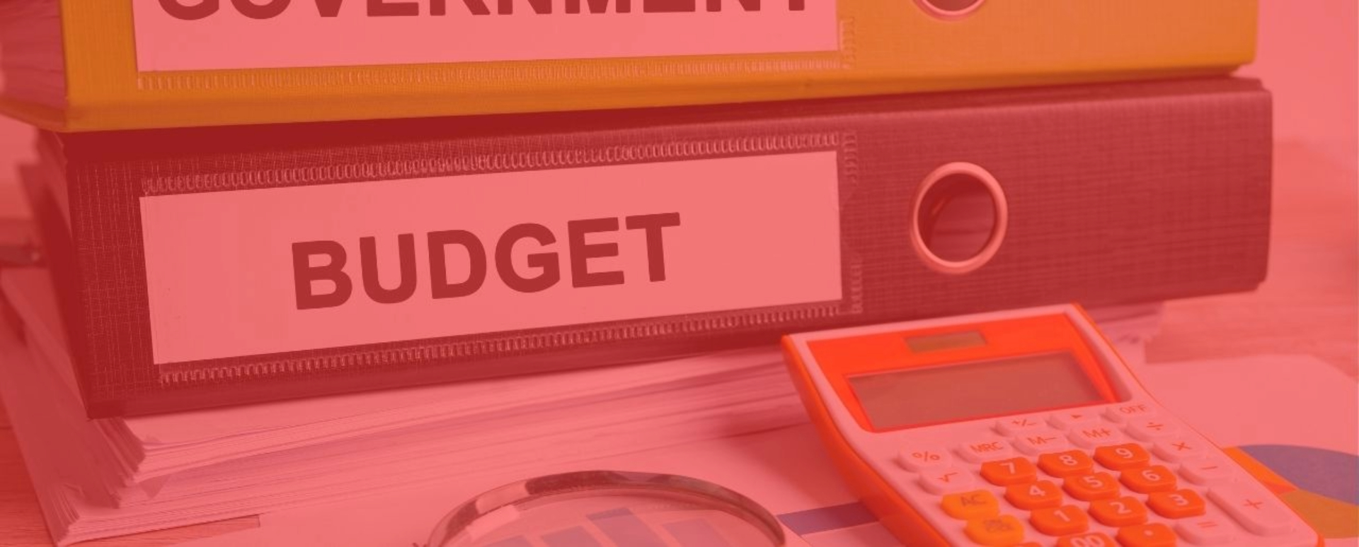 government budget files